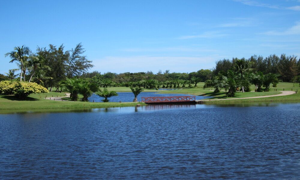 Dalit Bay Golf